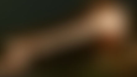 Omizutori Festival (お水取り): Nara’s 1,200-Year-Old Fire Purification Ritual at Todai-ji