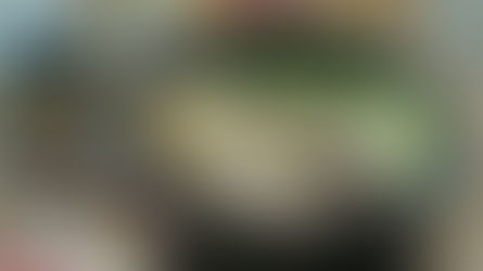 Nabe: Japan’s Warm Hug on a Cold Day