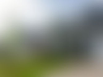 Do Elections Affect the Housing Market?