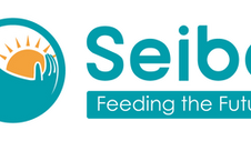 Feeding the Future: How Seibo Japan Supports Young Malawians in the Warm Heart of Africa