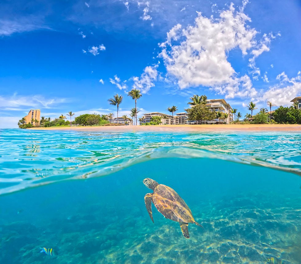 Volume 42 · October 8, 2026 - Maui Condo Rentals