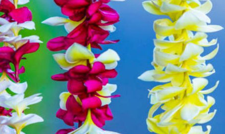 Tradition of the Hawaiian Lei
