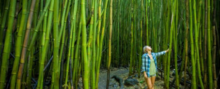 Maui's Best Eco-Friendly Cultural Adventures