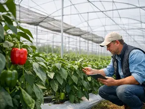 Agricultura protegida para producir con control