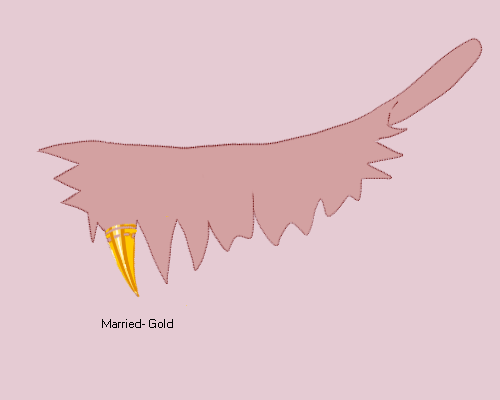 gilding (2).png