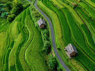 Is Bali Safe for Couples? Everything You Need to Know Before You Travel
