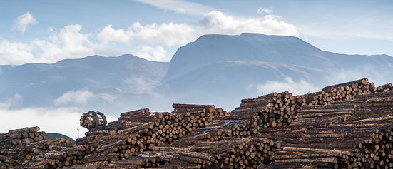 Timber yard BSW Dalbeattie