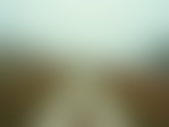 Transition de carrière réussie : Accompagnement personnalisé