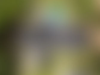 Montgomery, AL Synthetic Shake Roofer