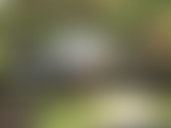 Covington GA Best Roofer, Braswell Construction Group, Offers Essential Fall Roof Maintenance Tips