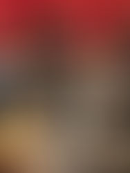 [Promo du moment/FNAC] 2 coffrets achetés le 3ème offert. The Fall et Hannibal Disponible en DVD.