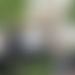 Trista&James wedding photography