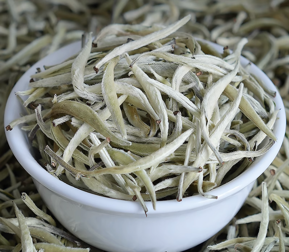 Thumbnail: Ancient Tea Tree Sliver Needle White Tea 50g