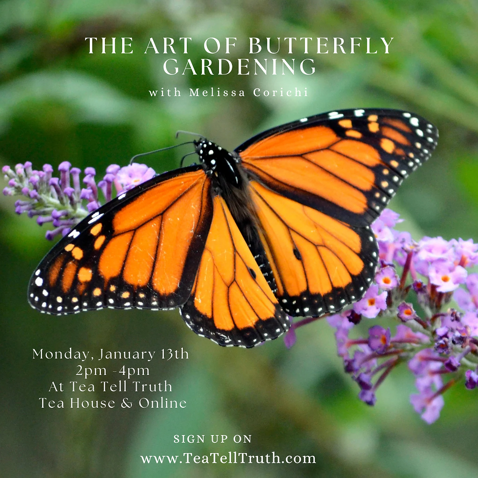 The Art of Butterfly Gardening