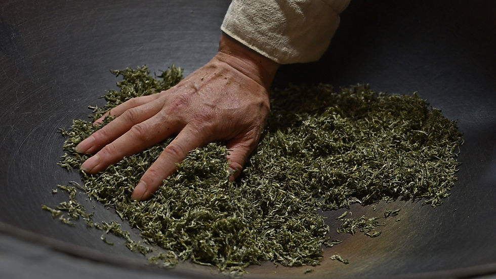 Thumbnail: 2026 Spring Bi Luo Chun Green Tea 30g