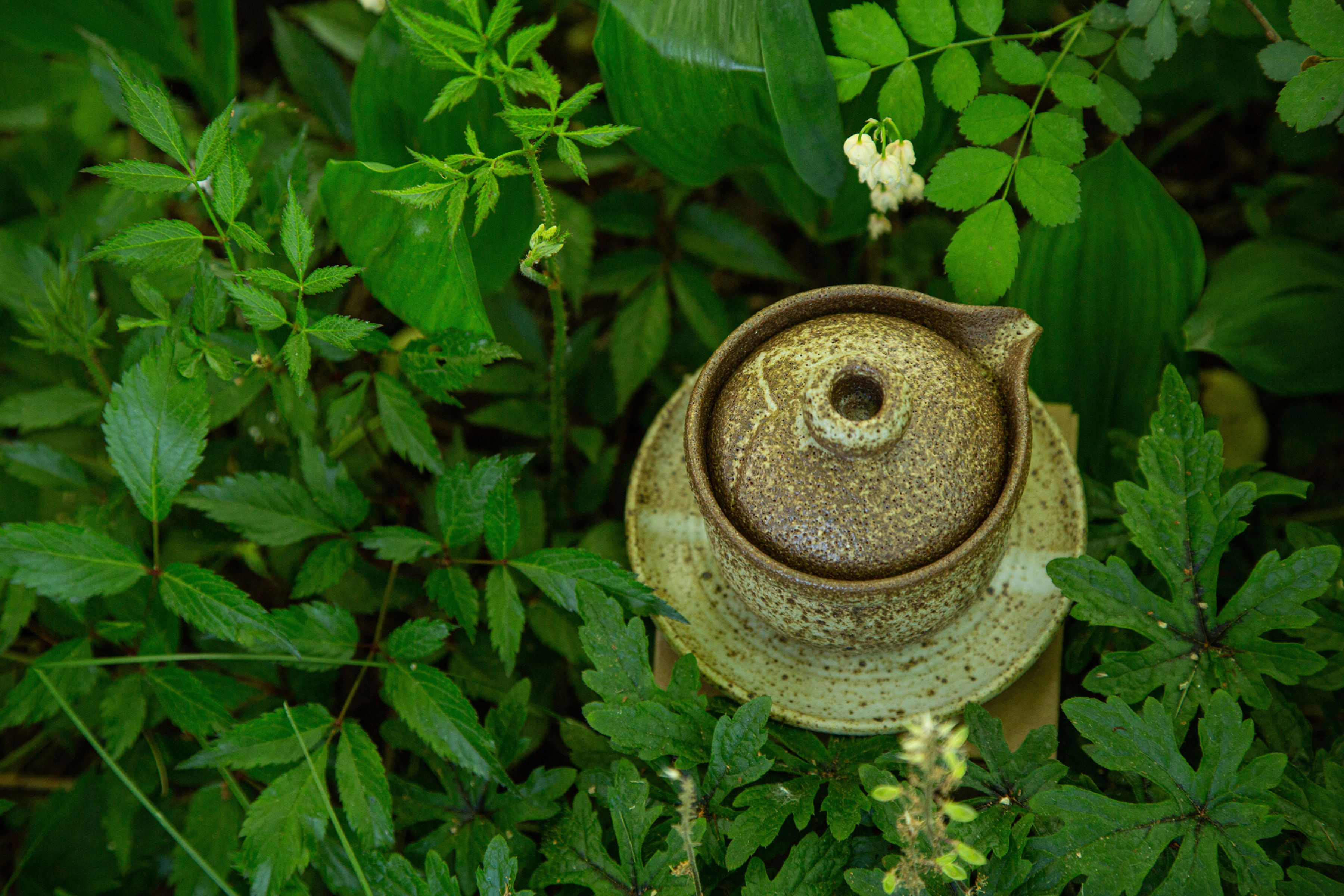Black Sand Gai Wan (Yellow)