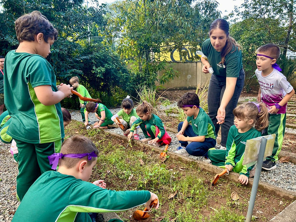 Natureza vira sala de aula em projeto de educação no contraturno do Colégio Univille