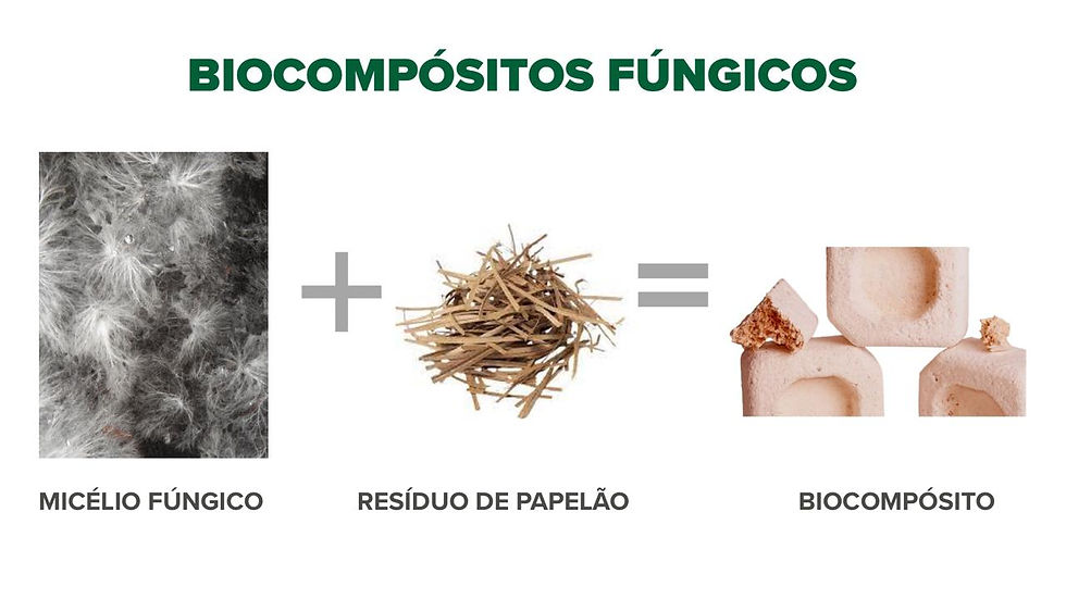 fonte: Equipe Greenbox (Hackaton SAE Brasil da Mobilidade 2025)