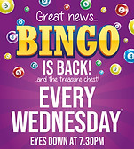102713_Station Hill Social Club_A3 Poster (Bingo)_V2 (002).jpg