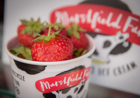Strawberries and ice cream