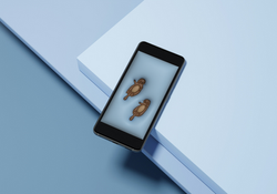 Two otters swimming belly-up on a layered blue background, displayed on a phone screen.