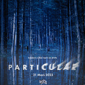 PARTICULAR
