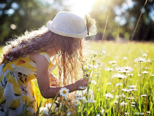 Neuro-plasticitate auto controlată