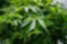 Waterside Pharma-16.jpg