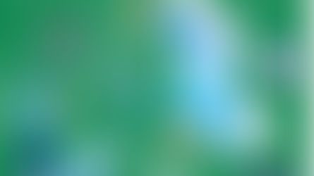 VISITOR MANAGEMENT SYSTEM