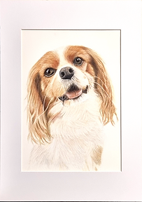 pippin dog portrait_edited.png
