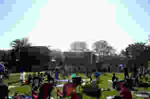 Crowd at Cayuga Sound