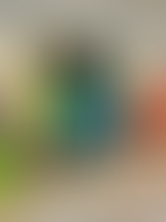 Taylan Aksel'in STEM sunumu