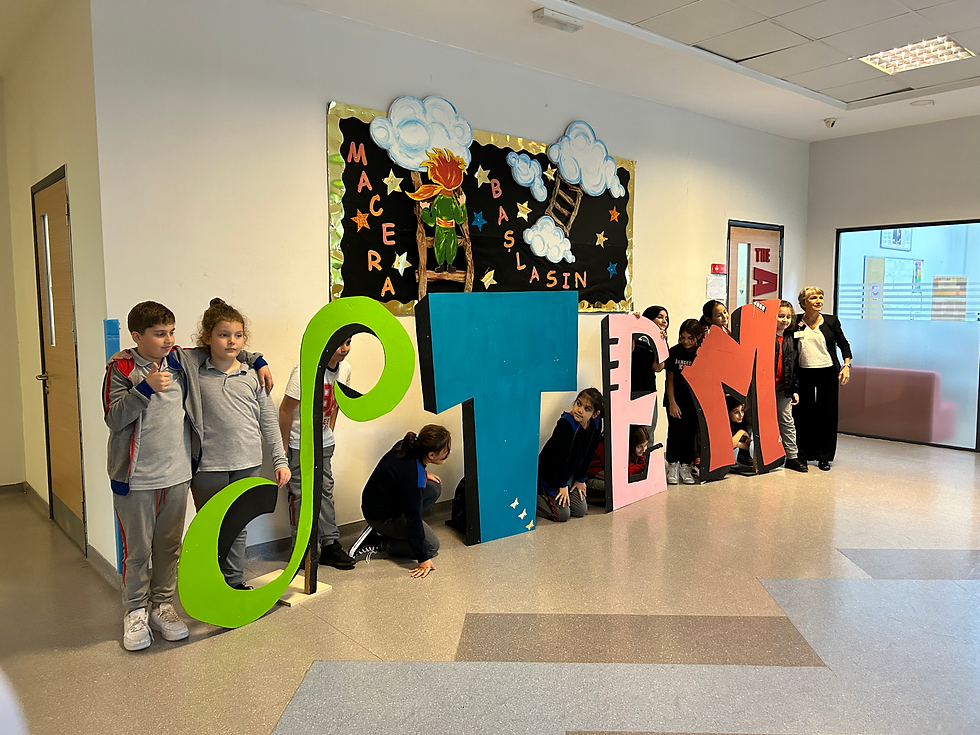 Taylan Aksel'in STEM sunumu