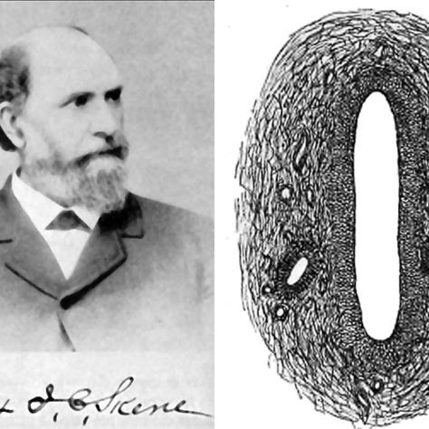A bearded man in a suit is on the left; a detailed black and white anatomical drawing is on the right. A signature is below the photo.