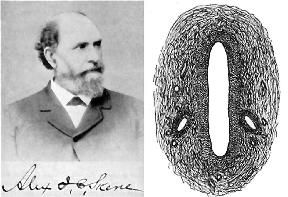 A bearded man in a suit is on the left; a detailed black and white anatomical drawing is on the right. A signature is below the photo.