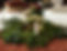 IMG_8077.jpeg