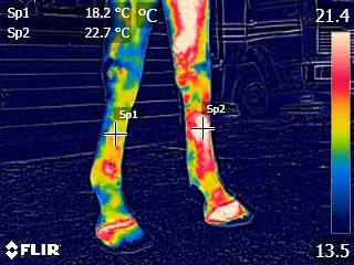 Infrared Imaging CASE STUDY