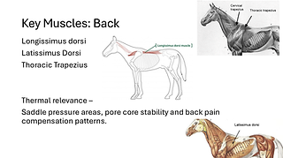 Slide3.PNG