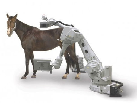 DIGITAL HORSEPOWER: How technology is transforming the equine world. (Alltech,2017)