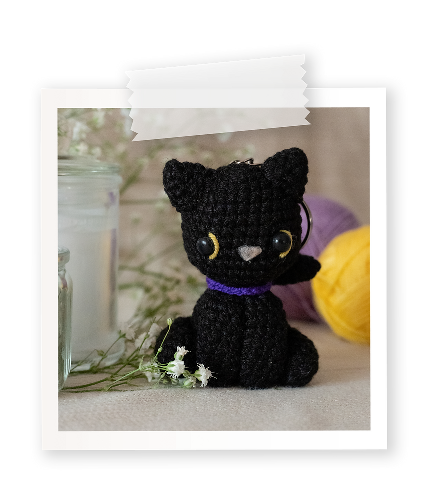 Polaroid-gato.png