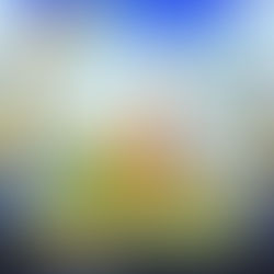 What to find on here actually?