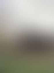 The Psychology of Luxury Home Buyers: Designing to Meet Emotional Needs