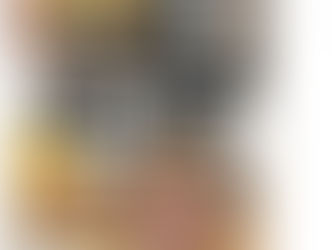 Notre cagnotte pour le roman et prochaine balade à Tournai.