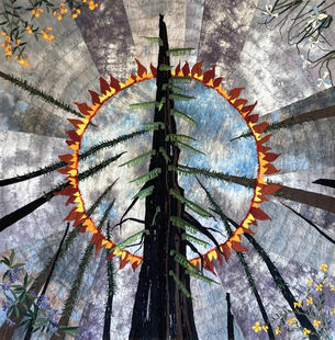 Aug 16 CZU Fire 5th Anniversary Event at Felton Library