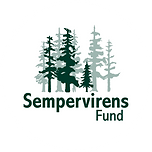 sempervirens-logo-2x (1).png