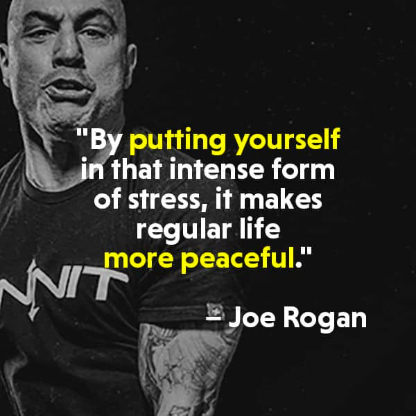 Top 30 JOE ROGAN Quotes for Success for 2019