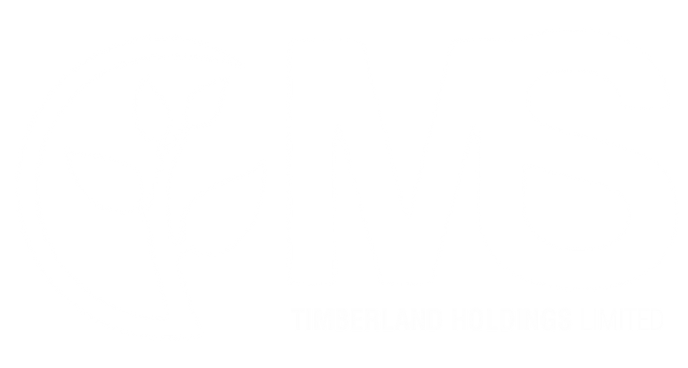 MS TIMBERLAND.png