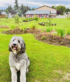 Finn & Braeside Garden