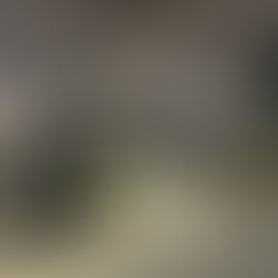 一曲を仕上げる力…春休みの情熱♪