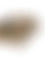 Caja de 15 bombones sin azúcar con rellenos como ganache y crema fresca.